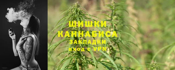 твердый Елабуга