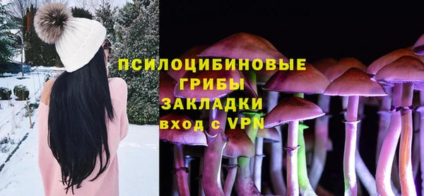 Альфа ПВП Ельня