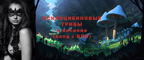 твердый Елабуга