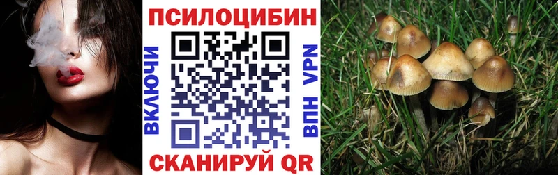 Галлюциногенные грибы Magic Shrooms  Купить  Дюртюли 